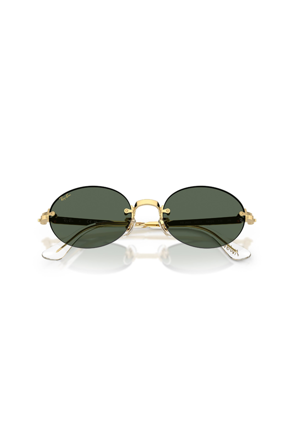 Ray-Ban 0RB 3929 001/71 54 Unisex Güneş Gözlüğü