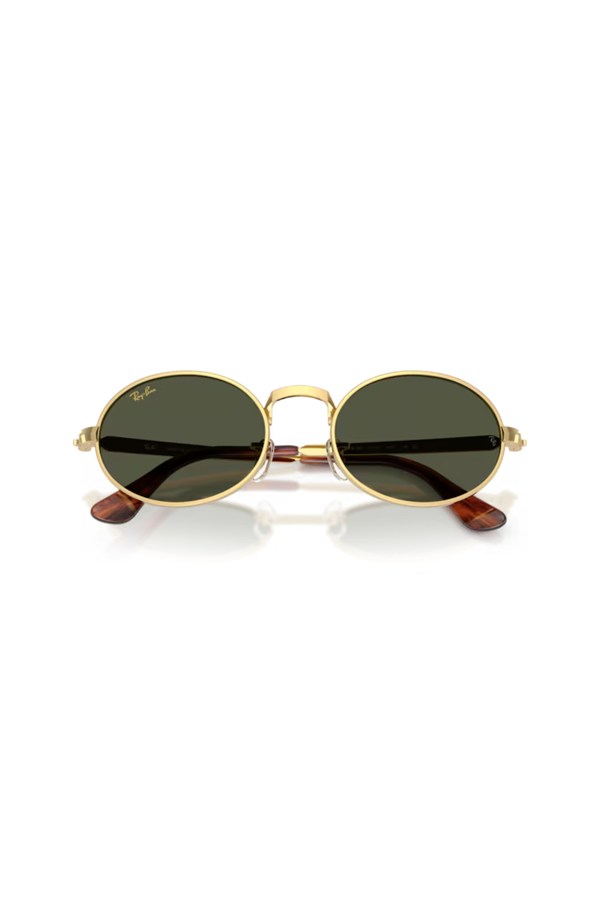 Ray-Ban 0RB 3931 001/31 54 Unisex Güneş Gözlüğü