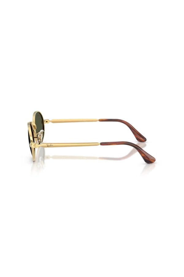 Ray-Ban 0RB 3931 001/31 54 Unisex Güneş Gözlüğü
