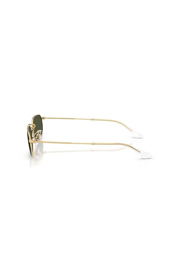 Ray-Ban 0RB 3947 001/31 54 Unisex Güneş Gözlüğü