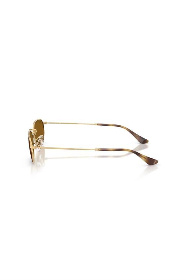Ray-Ban 0RB 3947 001/33 54 Unisex Güneş Gözlüğü