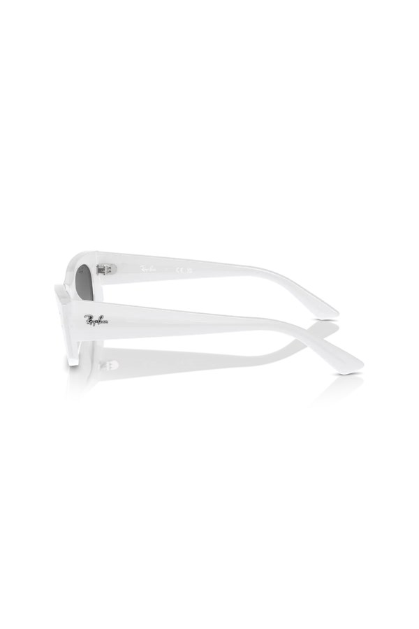 Ray Ban 0RB 4427 675911 49 Unisex Güneş Gözlüğü