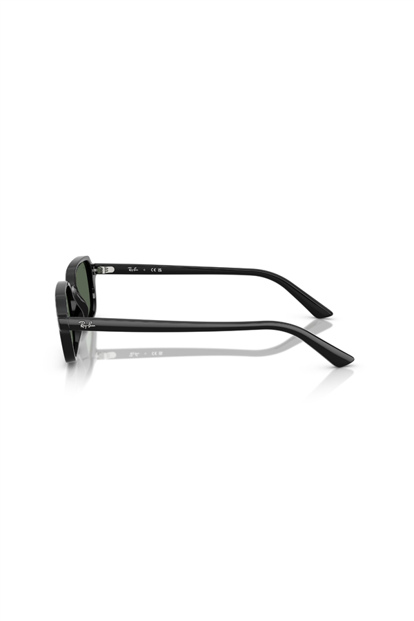 RAY-BAN GUNES 0RB 4455 667771 49