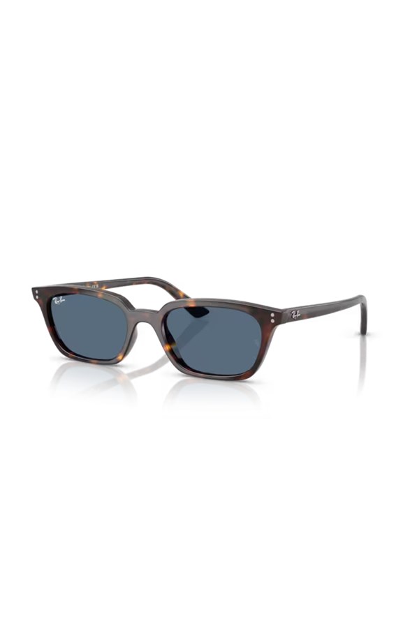 Ray-Ban 0RB 4456 135980 53 Unisex Güneş Gözlüğü