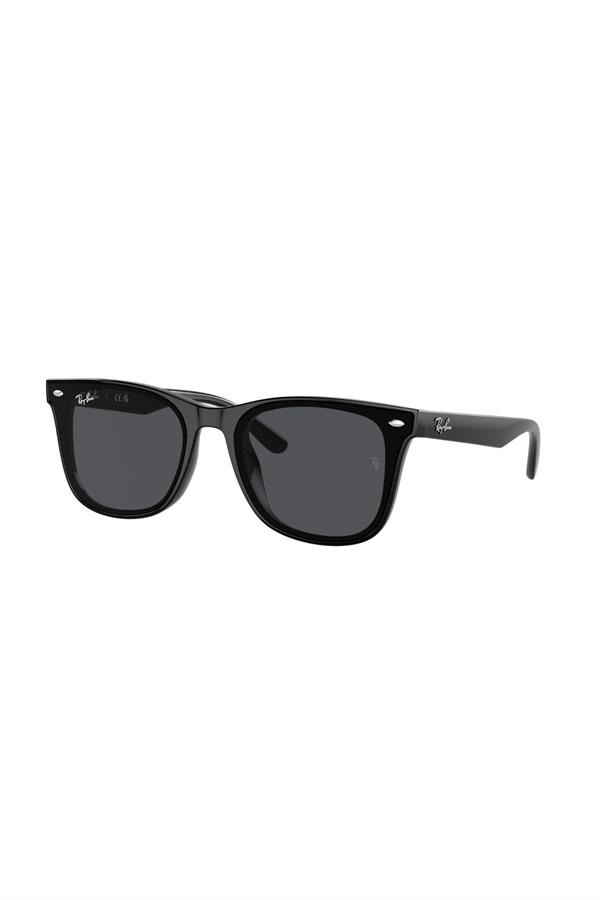 Ray-Ban 0RB 4420 601/87 65 Unisex Güneş Gözlüğü