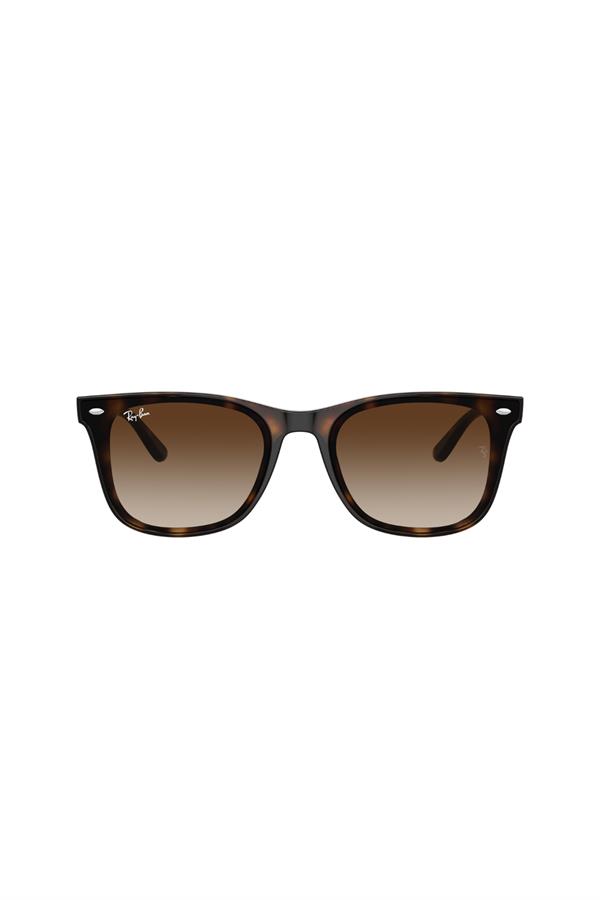 Ray-Ban 0RB 4420 710/13 65 Unisex Güneş Gözlüğü