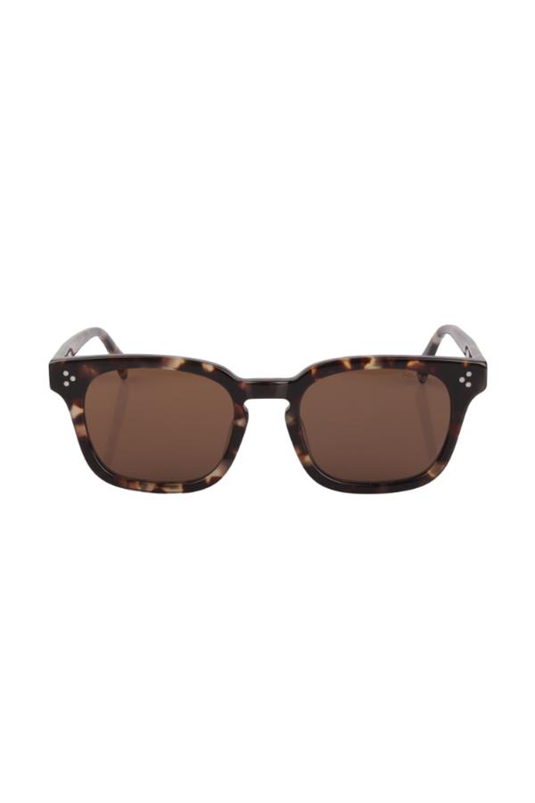 Roysse TY23092 C3 49 Unisex Güneş Gözlüğü