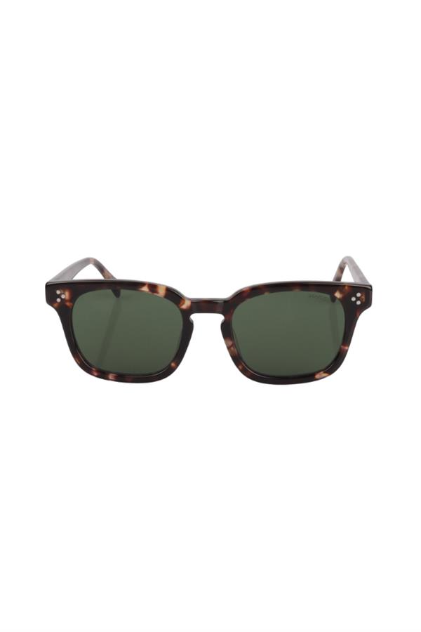 Roysse TY23092 C4 49 Unisex Güneş Gözlüğü