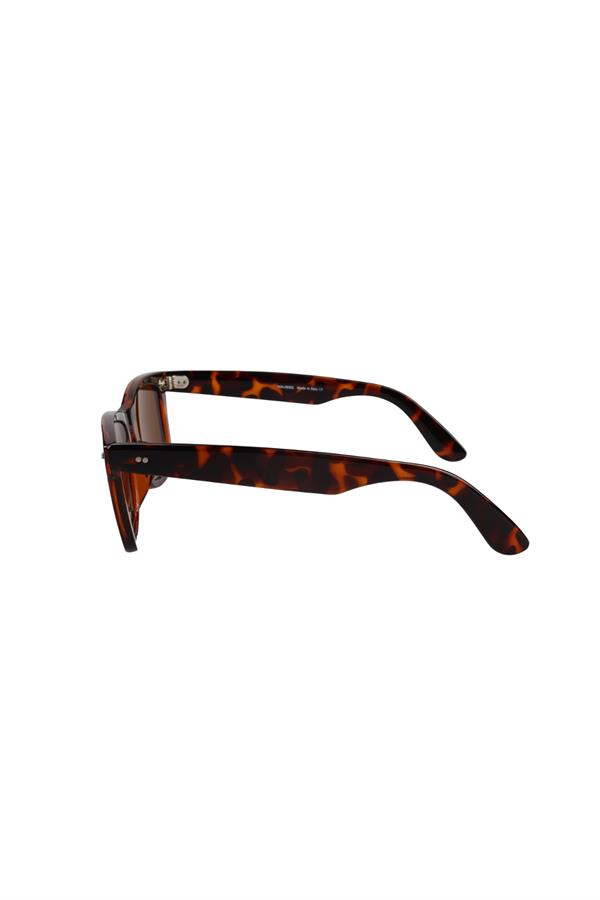 Roysse TS 2140 C3 50 Unisex Güneş Gözlüğü