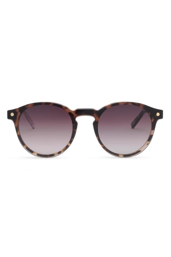 Snob Milano - IL Dogui-SNVX10-C003-Z 48 Unisex Güneş Gözlüğü