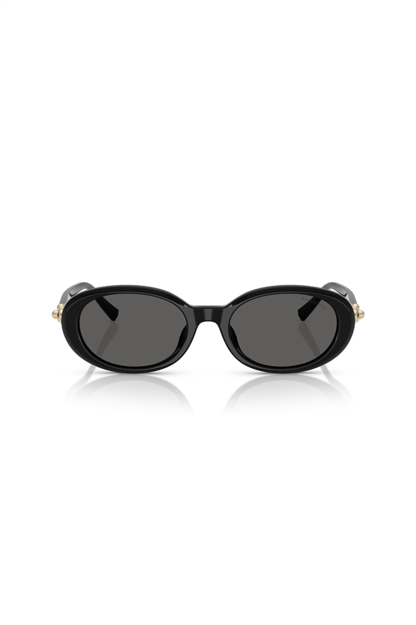 Tiffany & Co.0TF 4242D 8361S4 54 Kadın Güneş Gözlüğü