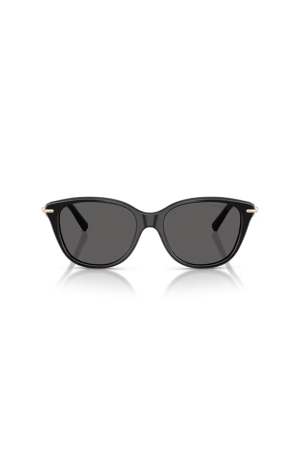 Tiffany & Co. 0TF 4267 8001S4 54 Kadın Güneş Gözlüğü