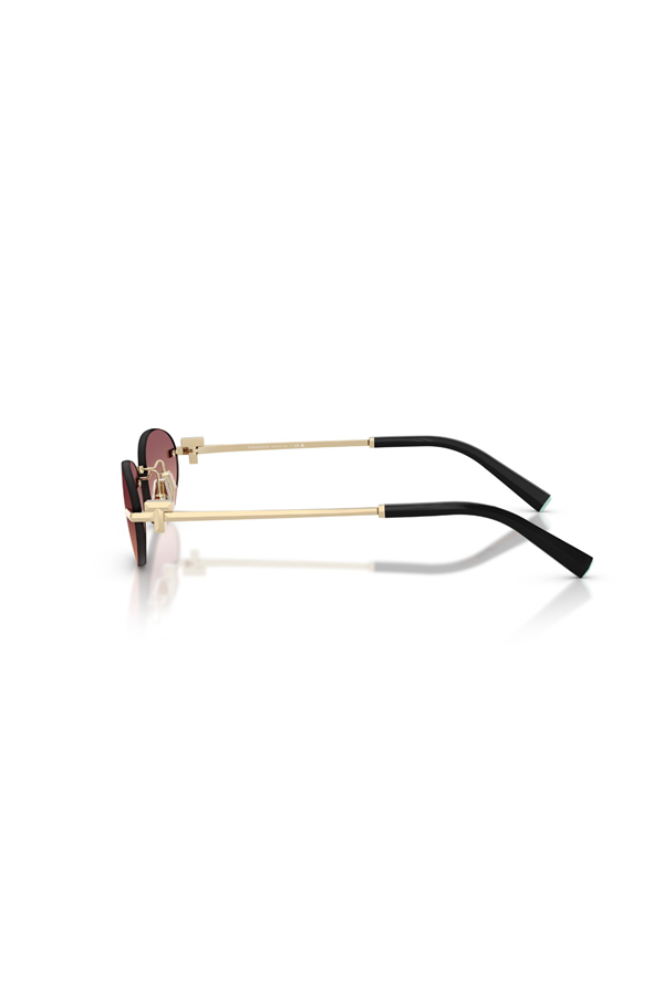 TIFFANY & CO. 0TF 3119D 62408D 56 Unisex Güneş Gözlüğü
