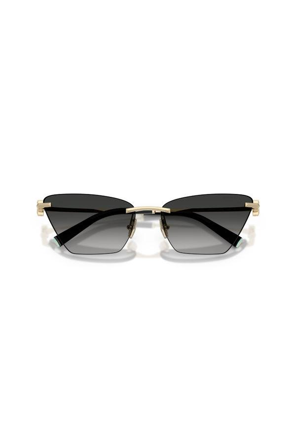 TIFFANY & CO. GUNES 0TF 3120 62413C 61