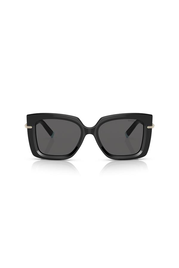 Tiffany & Co. 0TF 4199 8001S4 53 Kadın Güneş Gözlüğü