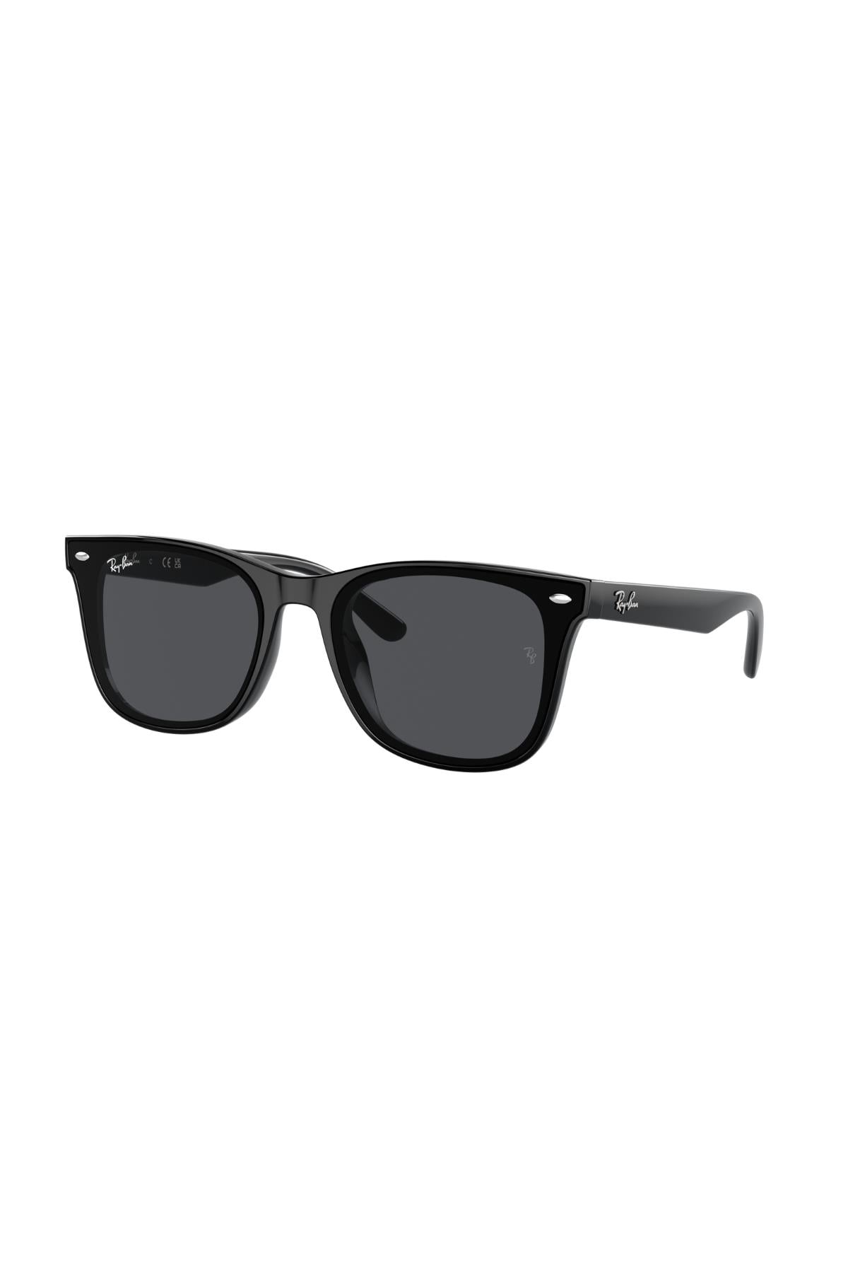 RAYBAN GUNES 0RB4420 601/87 65 Erkek