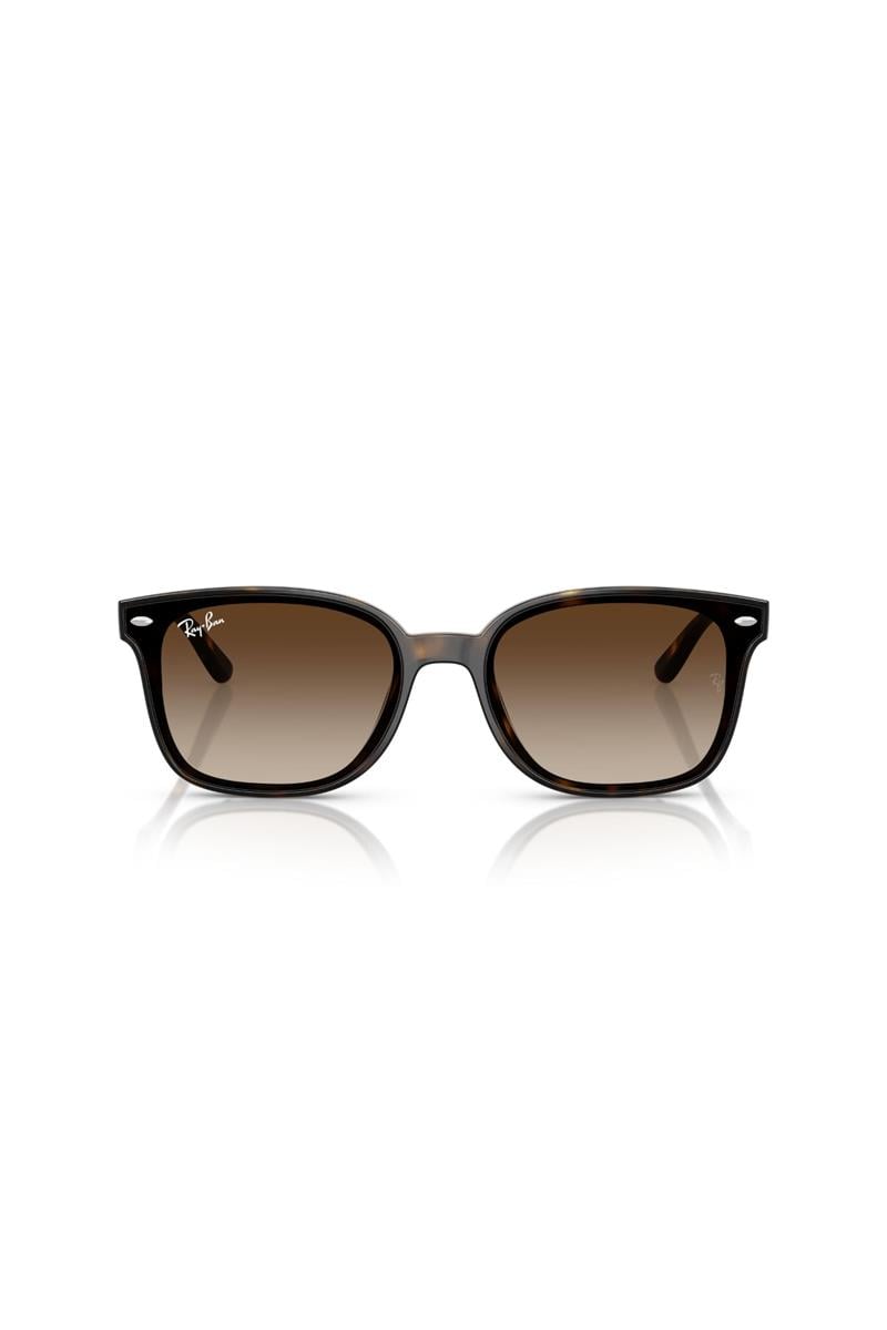 Ray-Ban 0RB 4461D 710/13 64 Unisex Güneş Gözlüğü