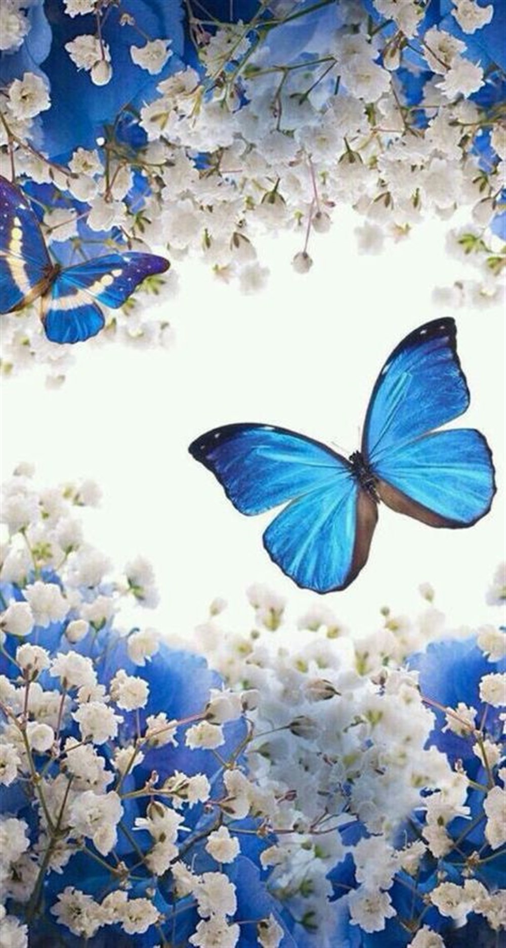 CANLIMarcel Sanat Elmas Mozaik Tablo & Diamond Painting TurkeyM20174396Beyaz Çiçekler Ve Kelebekler Marcel Sanat Elmas Mozaik Tablo 43x81cm