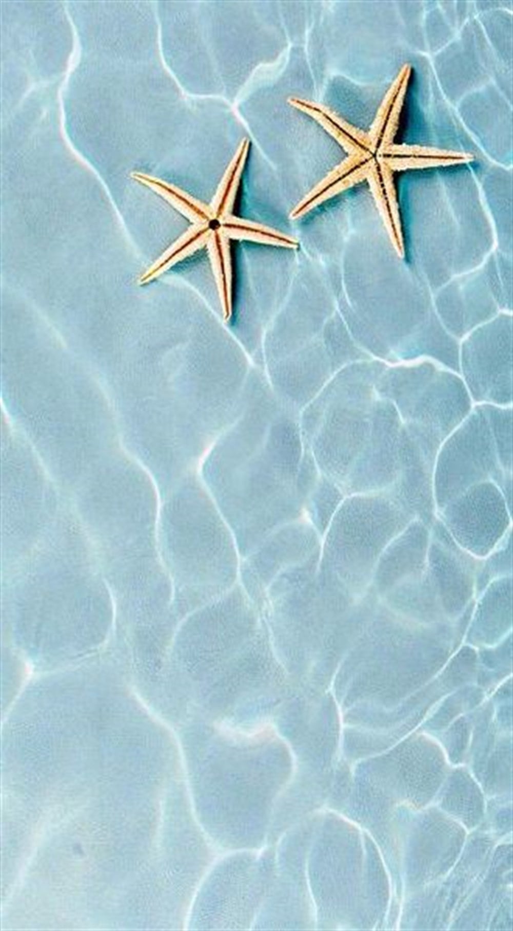 MANZARAMarcel Sanat Elmas Mozaik Tablo & Diamond Painting TurkeyM20176280Deniz Yıldızı Marcel Sanat Elmas Mozaik Tablo 33x61cm