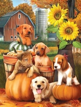Köpekler Balkabaklarıyla Elmas Mozaik Tablo 35x45cm