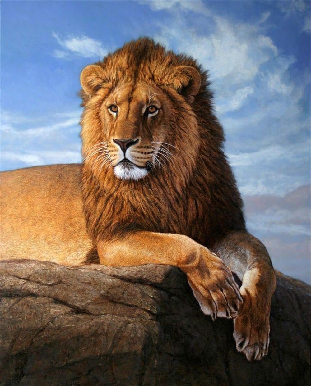 Aslan Elmas Mozaik Tablo 41x51cm