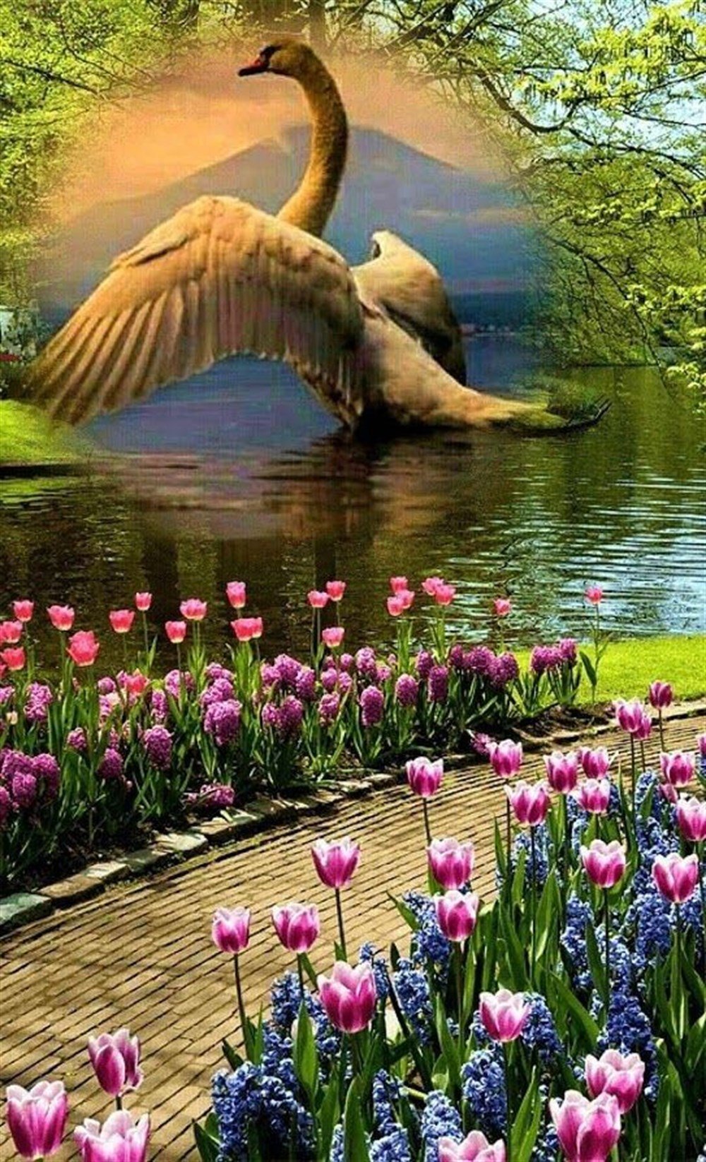 CANLILARMarcel Sanat Elmas Mozaik Tablo & Diamond Painting TurkeyM20173409Heybetli Kuğu Marcel Sanat Elmas Mozaik Tablo 38x64 cm