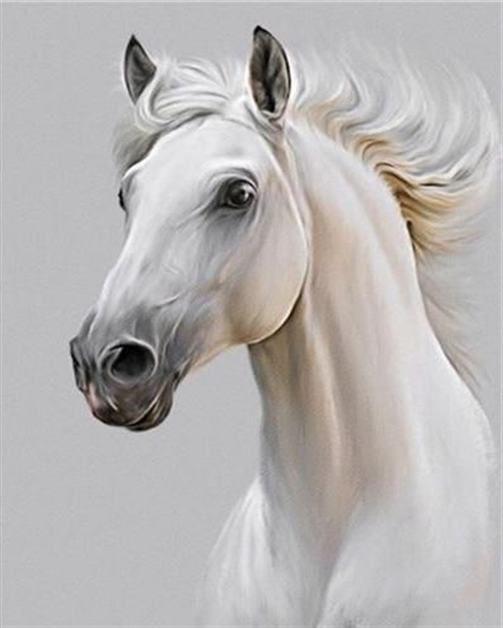 CANLILARMarcel Sanat Elmas Mozaik Tablo & Diamond Painting TurkeyM2013935Rüzgarın Kızı Marcel Sanat Elmas Mozaik Tablo 41x51cm