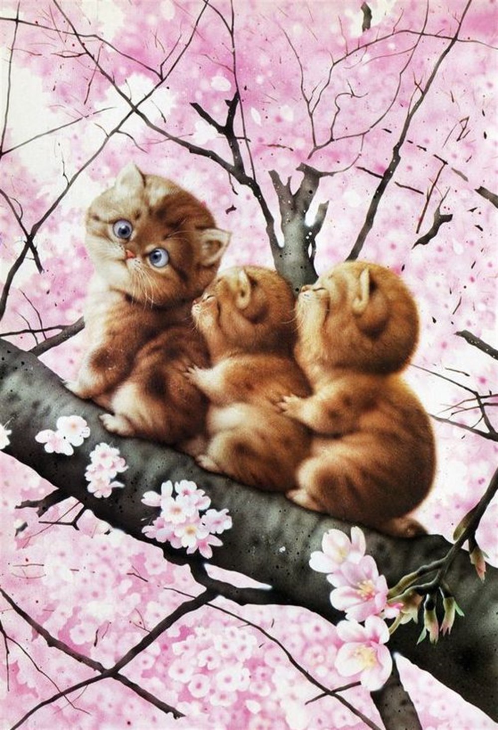 CANLIMarcel Sanat Elmas Mozaik Tablo & Diamond Painting TurkeyM20176547Daldaki Üç Sevimli Kedicik Marcel Sanat Elmas Mozaik Tablo 48x71cm 