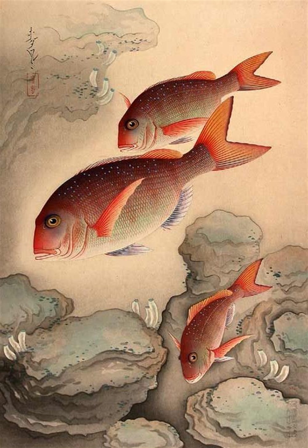 CANLIMarcel Sanat Elmas Mozaik Tablo & Diamond Painting TurkeyM20176589Üç Turuncu Balık Marcel Sanat Elmas Mozaik Tablo 56X81cm