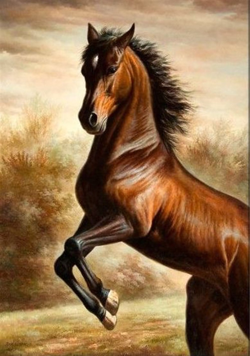 CANLIMarcel Sanat Elmas Mozaik Tablo & Diamond Painting TurkeyM20176016Asil At Marcel Sanat Elmas Mozaik Tablo 56x81cm