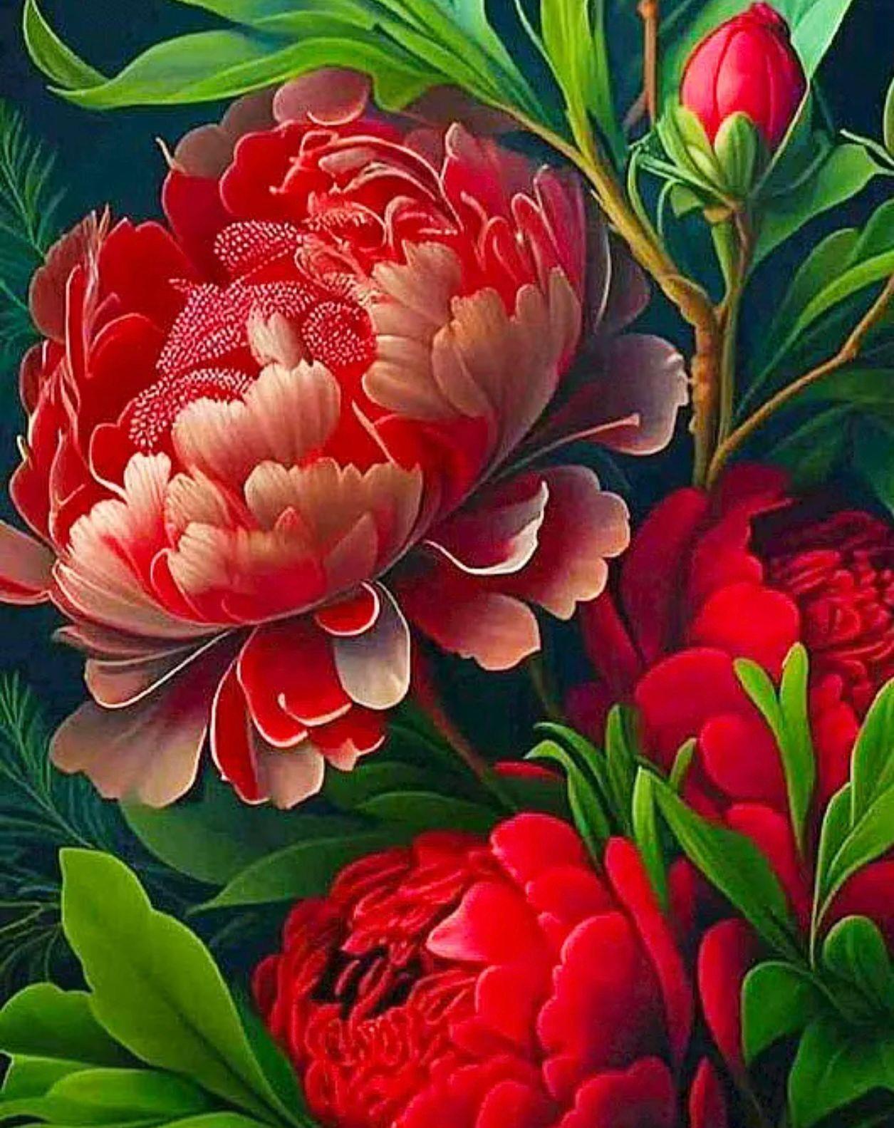 ÇİÇEKMarcel Sanat Elmas Mozaik Tablo & Diamond Painting TurkeyM20176766Kırmızı Şakayık Çiçeği 46x58cm Marcel Sanat Elmas Mozaik Tablo 