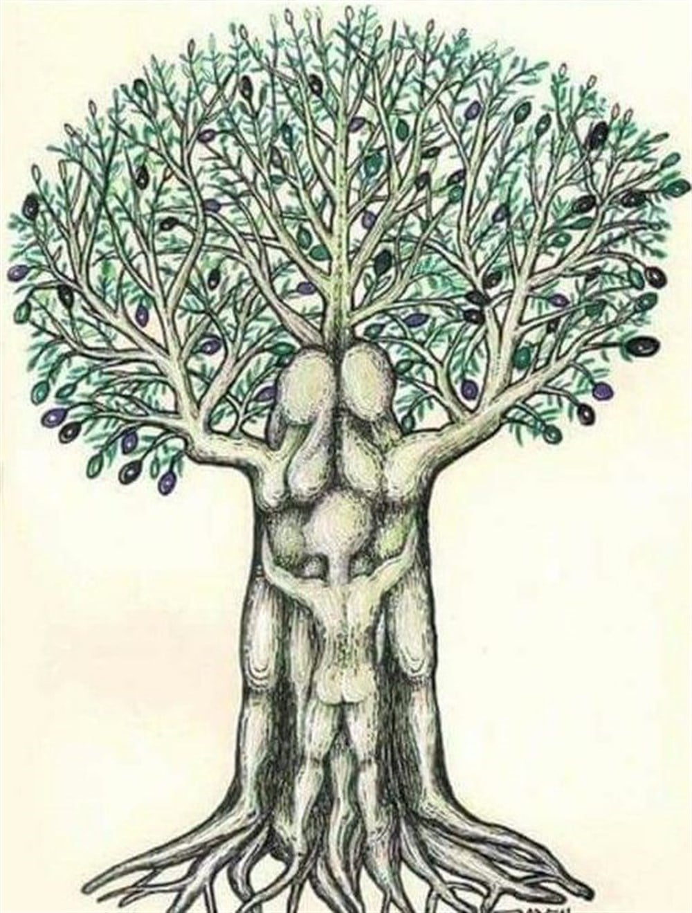 ÇİÇEKMarcel Sanat Elmas Mozaik Tablo & Diamond Painting TurkeyM20176275Zeytin ağacı Marcel Sanat Elmas Mozaik Tablo 64X81cm