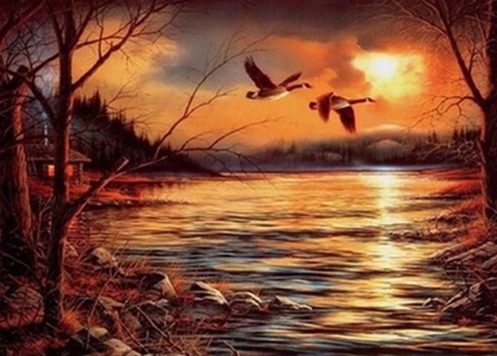 GÜNBATIMINDA KAZLAR