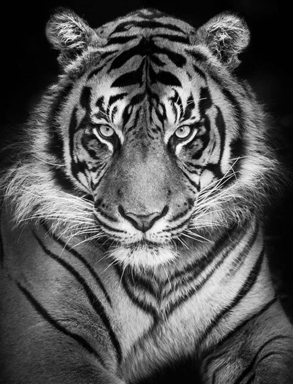 Kaplan Elmas Mozaik Tablo 38x51cm