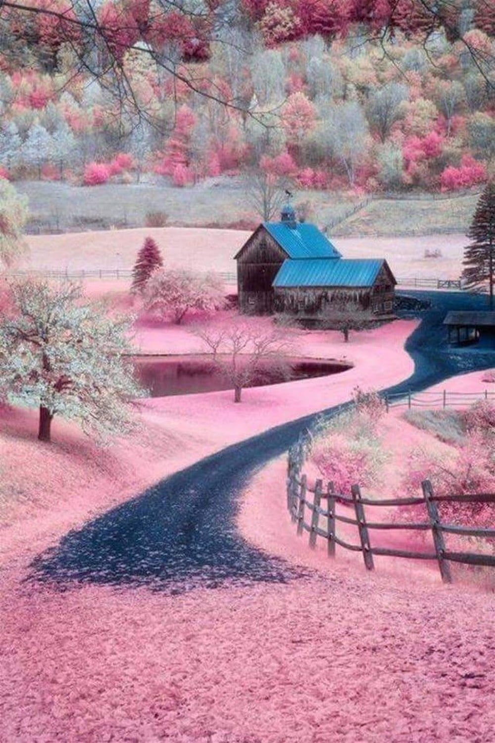 Köye Giden Pembe Yapraklı Yol Elmas Mozaik Tablo 38x55cm