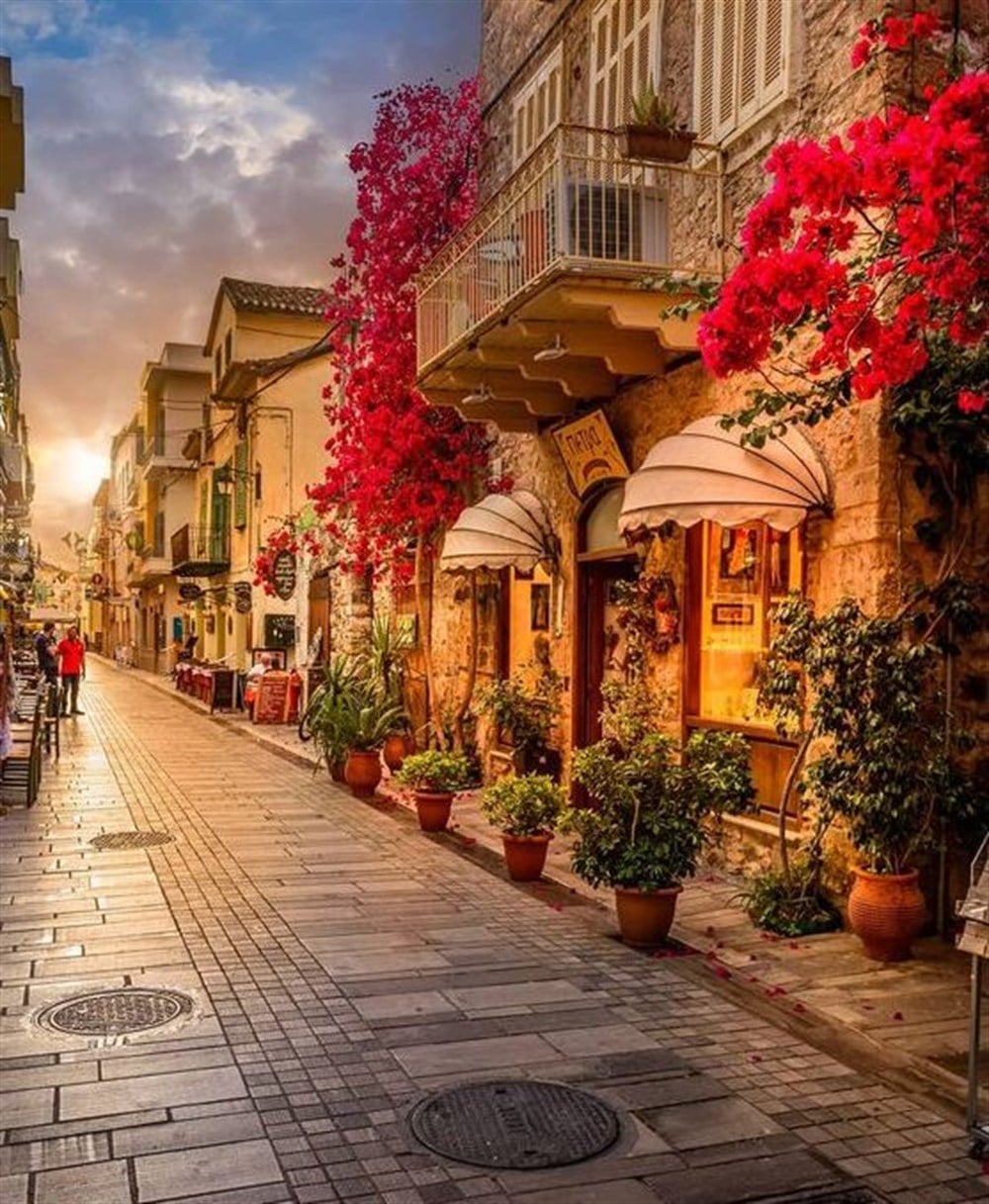 MANZARAMarcel Sanat Elmas Mozaik Tablo & Diamond Painting TurkeyM20174099Çiçekli Cadde Marcel Sanat Elmas Mozaik Tablo 43x53cm