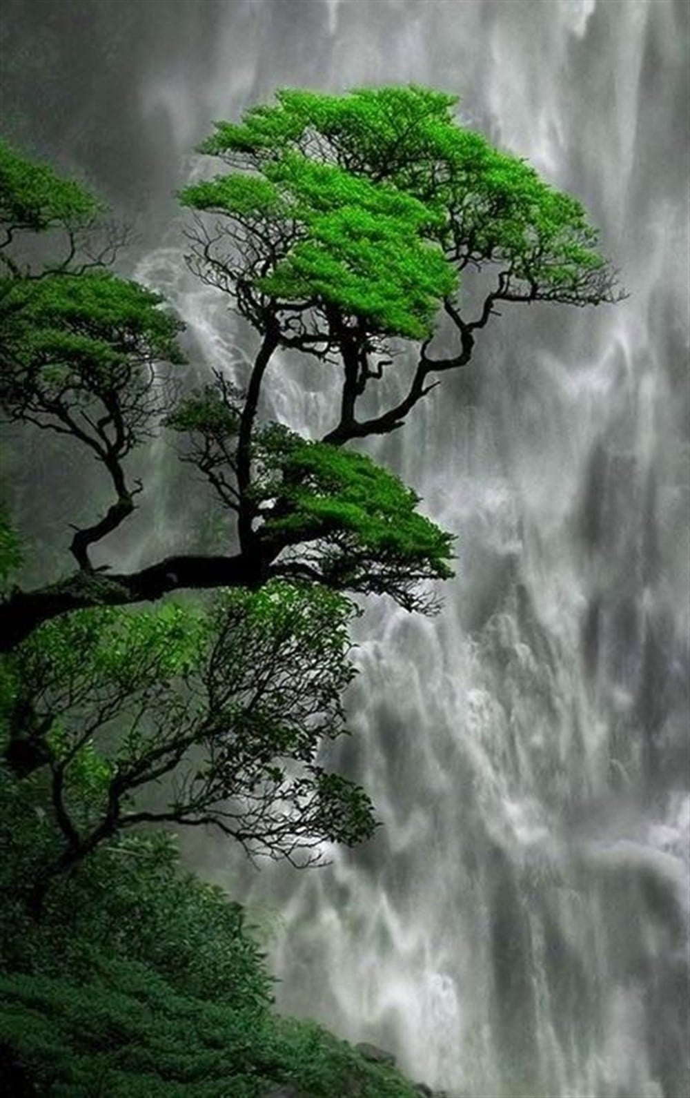 MANZARAMarcel Sanat Elmas Mozaik Tablo & Diamond Painting TurkeyM20173113Marcel Sanat Elmas Mozaik Puzzle Tablo 36X58 cm