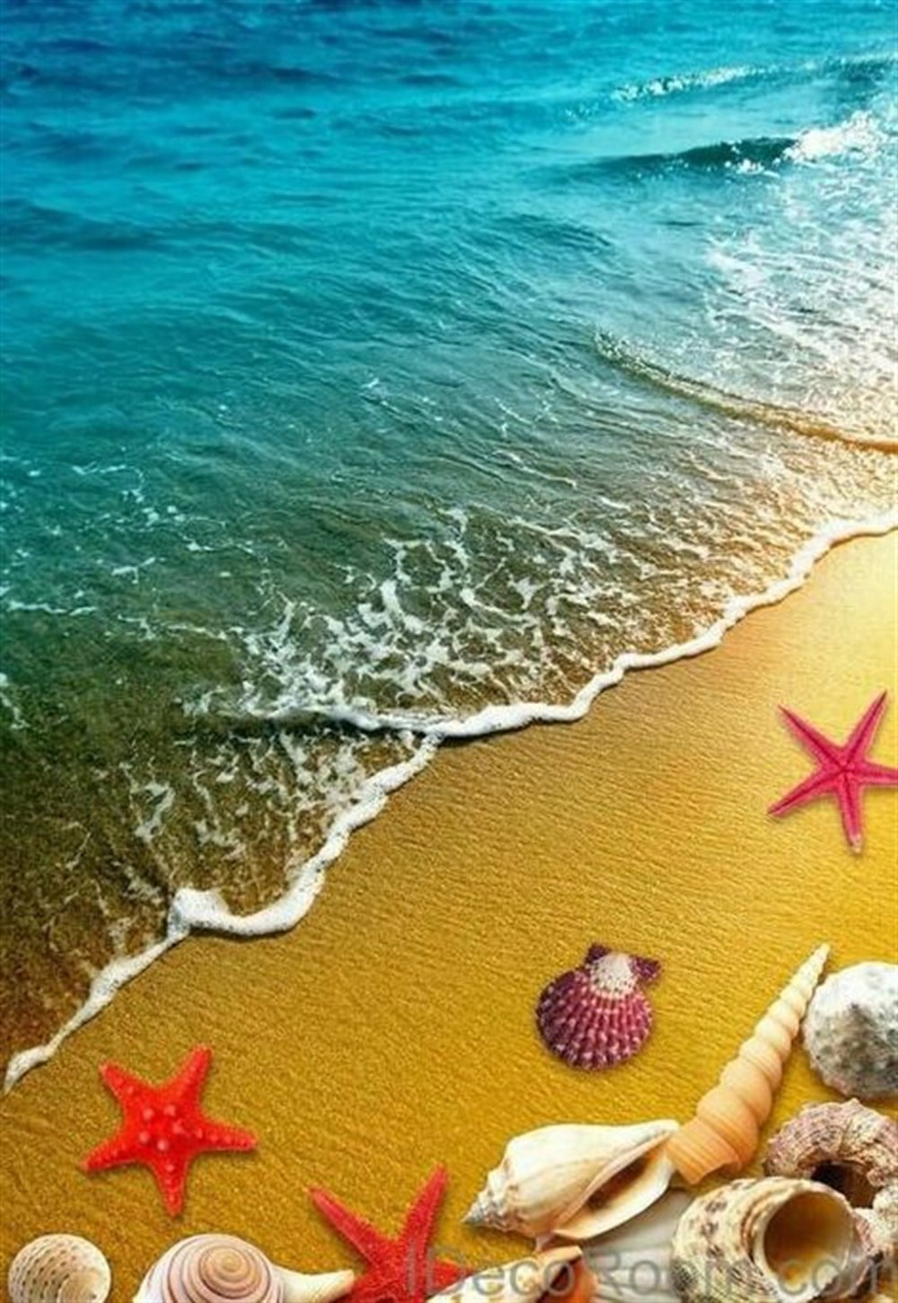 MANZARAMarcel Sanat Elmas Mozaik Tablo & Diamond Painting TurkeyM20173610Deniz Kıyısındaki Deniz Kabukları Marcel Sanat Elmas Mozaik Tablo 36x51cm