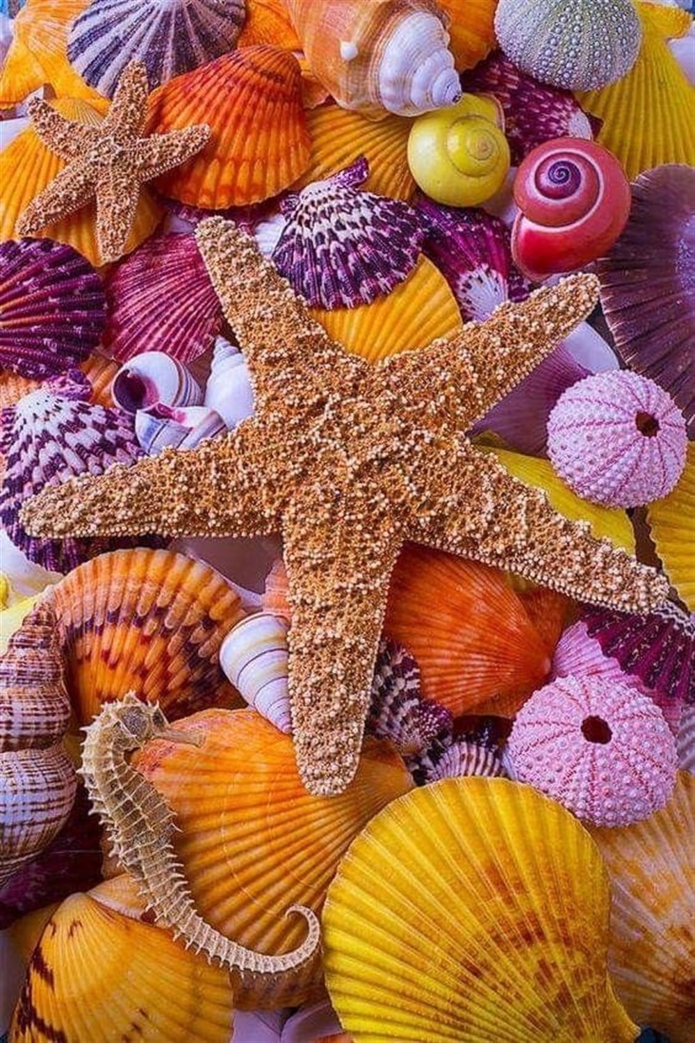 Marcel Elmas Mozaik Tablo 38x56cm