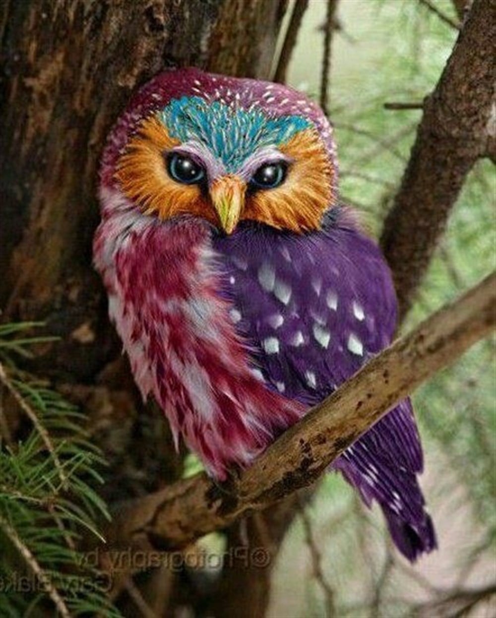 Marcel Elmas Mozaik Tablo 41x51cm