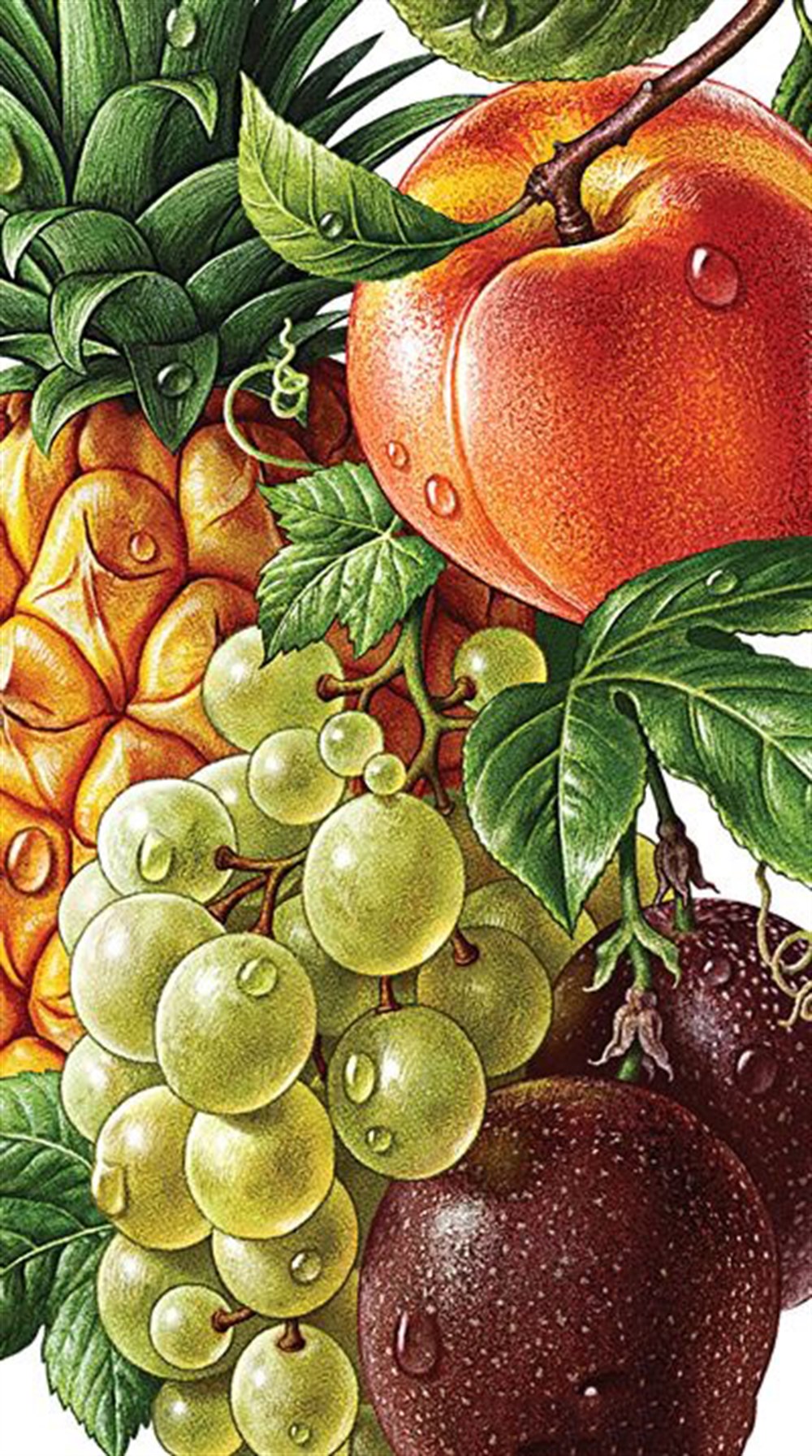 Marcel Mutfak Serisi Elmas Mozaik Tablo 20x36cm