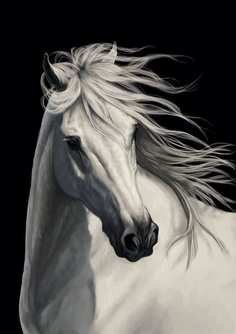 Marcel Sanat Beyaz At Elmas Mozaik Tablo 41x58cm