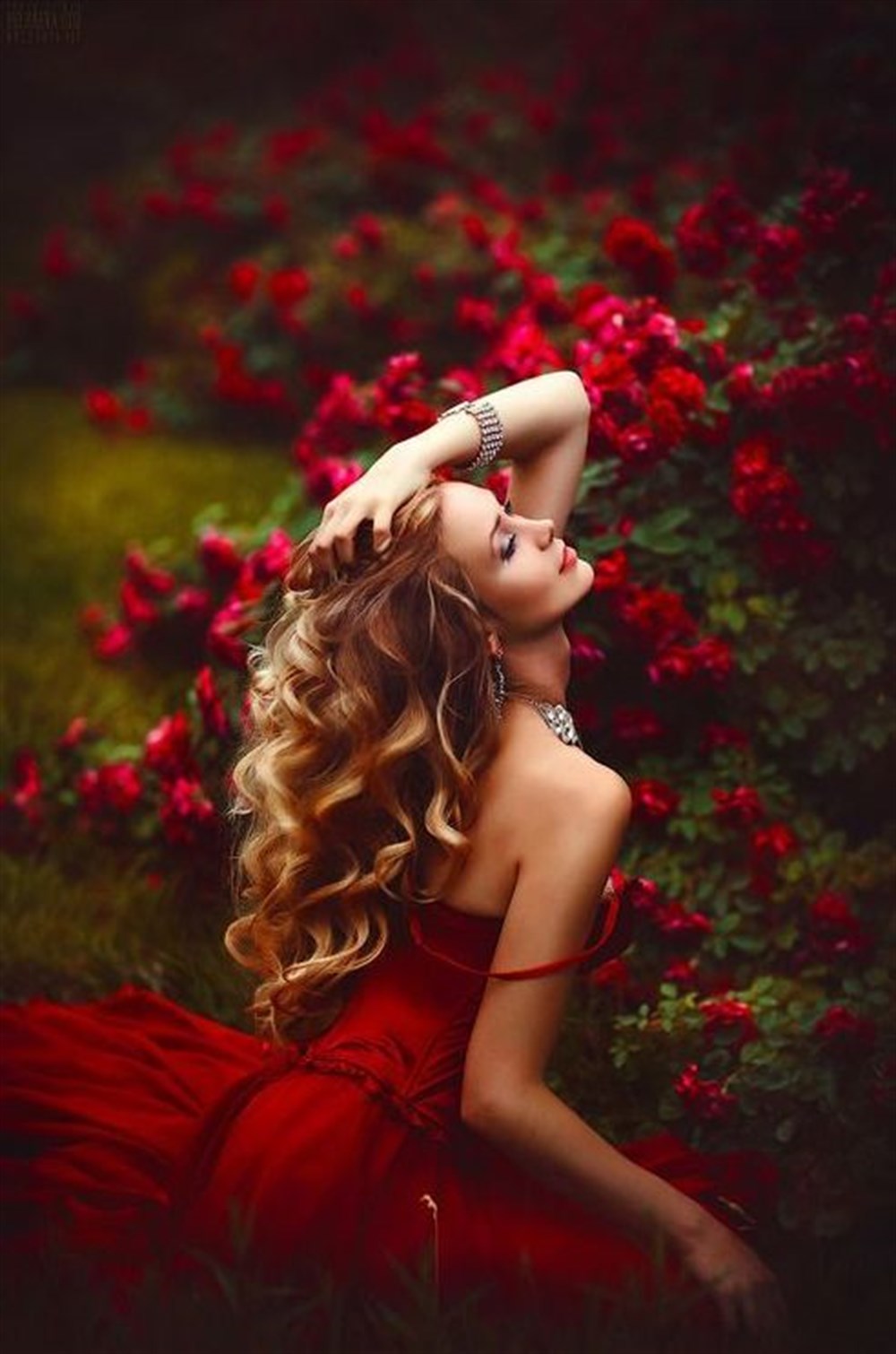 MODERNMarcel Sanat Elmas Mozaik Tablo & Diamond Painting TurkeyM20173836Kırmızı Güllerin İçindeki Cazibe Marcel Sanat Elmas Mozaik Tablo 41x61cm