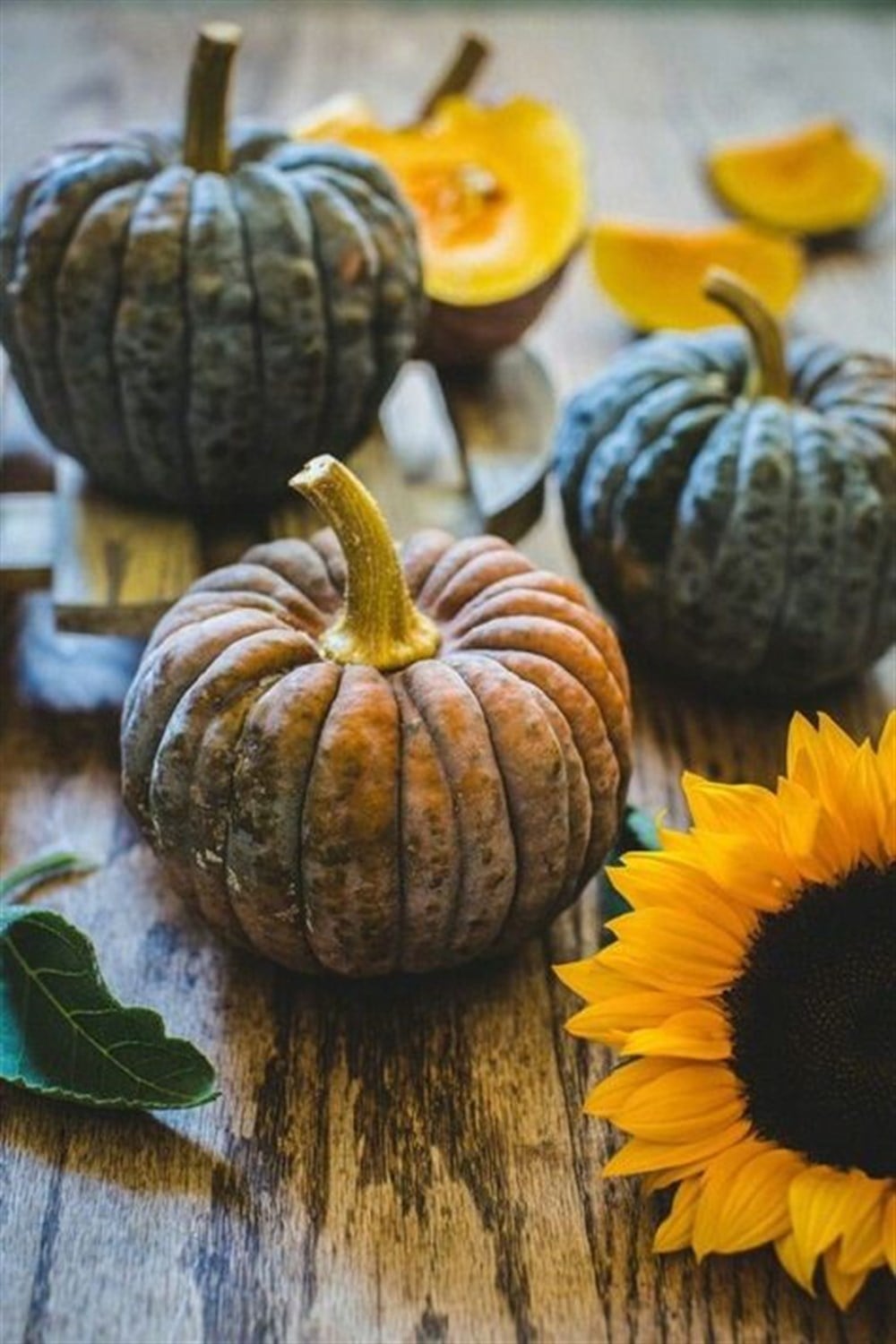 MUTFAKMarcel Sanat Elmas Mozaik Tablo & Diamond Painting TurkeyM20174115Balkabakları Marcel Sanat Elmas Mozaik Tablo 33x51cm