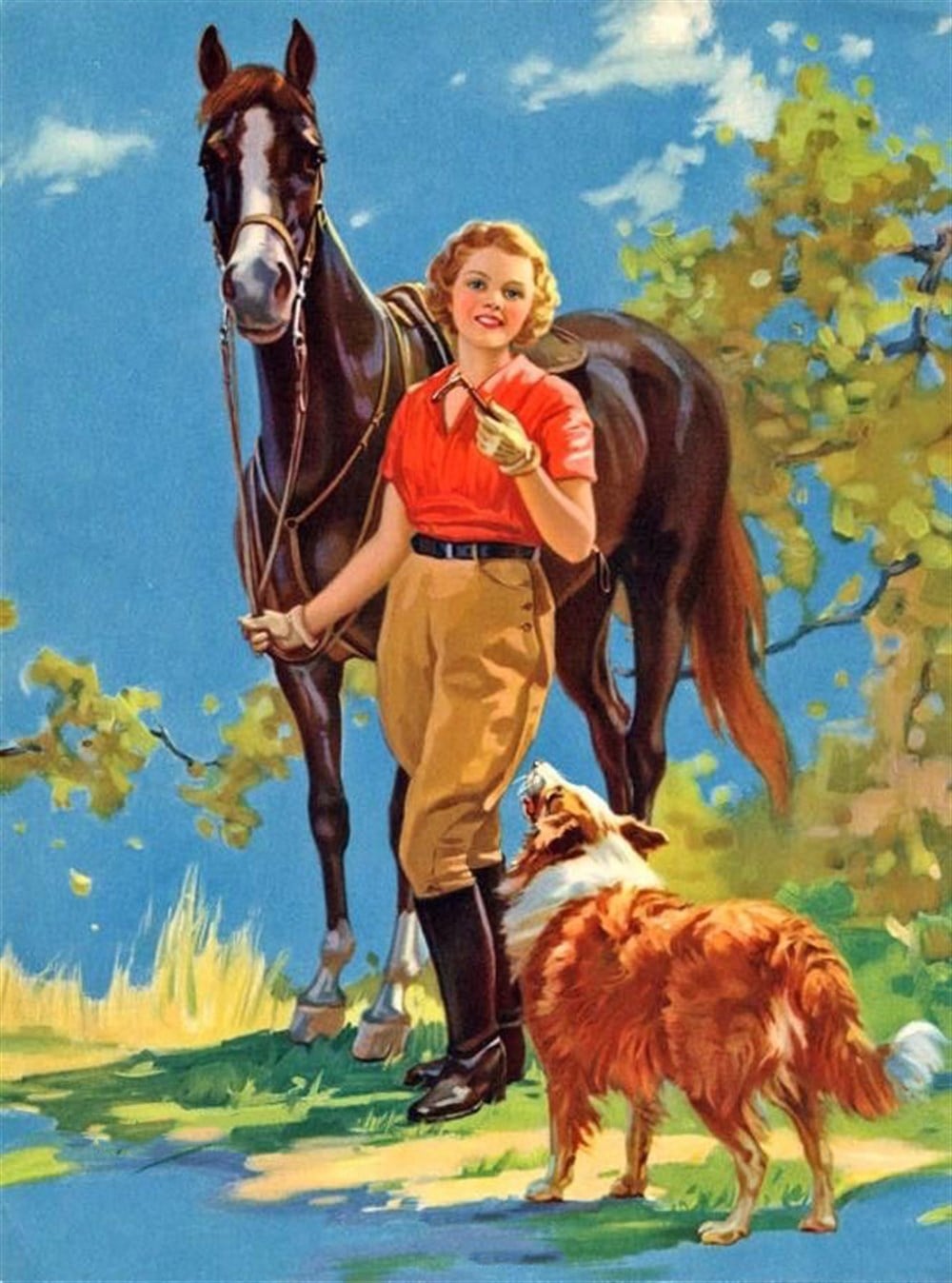 Retro-Vintage Amerikan Tarzı Çiftlik Doğa Tabloları Elmas Mozaik43x48xm