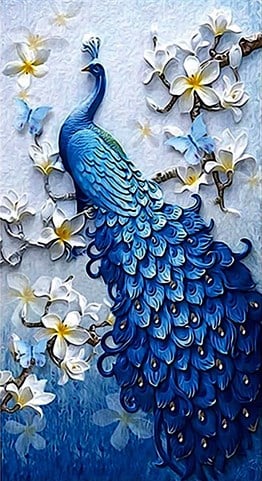 Mavi Tavuskuşu (33x61)