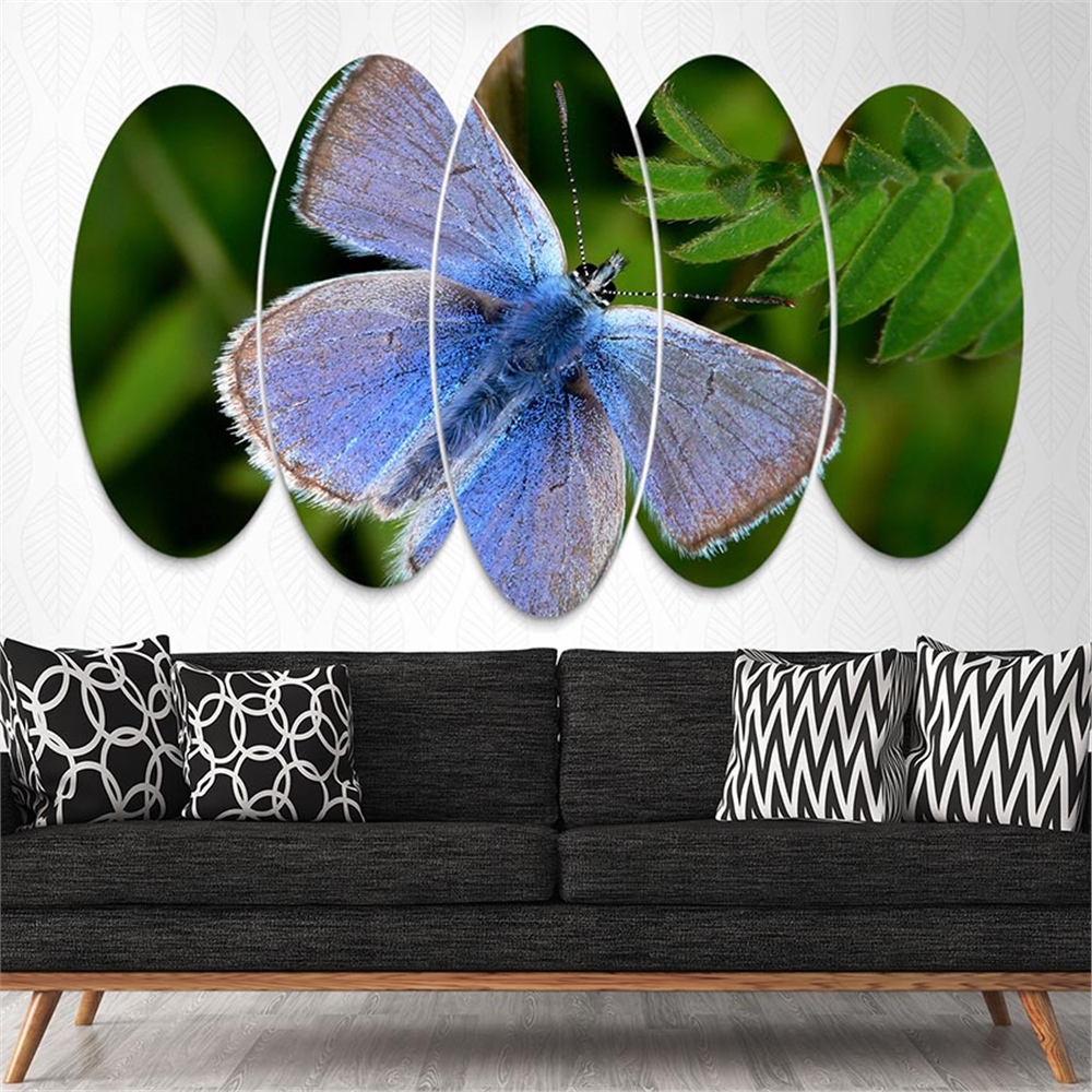 Kreatif 5 Parça Oval Tablo