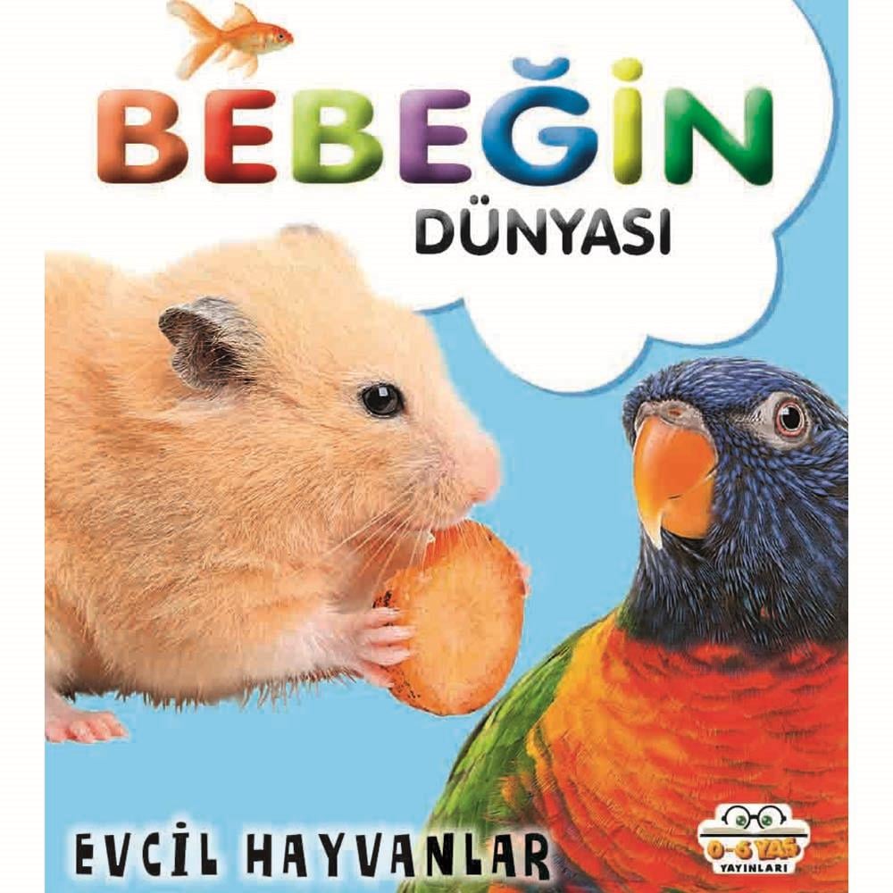 06 YAŞ YAY /  BEBEĞİN DÜNYASI - EVCİL HAYVANLAR