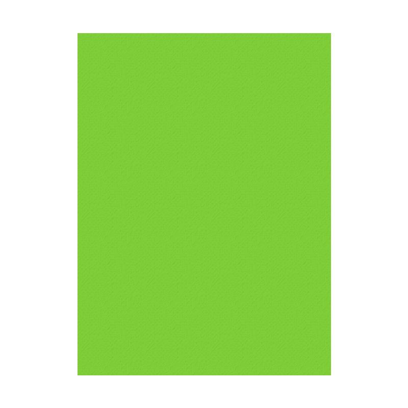 ADEL FON KARTONU 50X70 100LÜ ÇİM YEŞİLİ 038001
