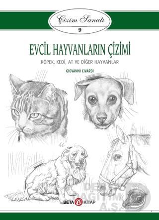 BETA / EVCİL HAYVANLARI ÇİZİMİ- ÇİZİMİ SANATI 9